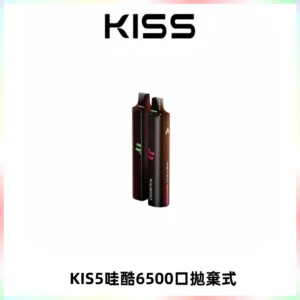 KIS5WAGOO哇酷6500口拋棄式 | 自由混搭雙口味 | 雙芯組合