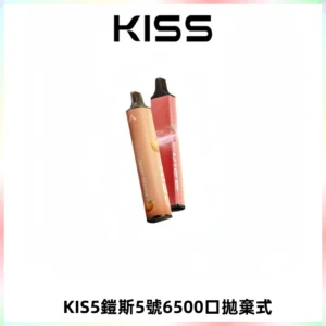 KIS5鎧斯5號一次性6500口磁吸式拋棄式電子煙#自由混搭#